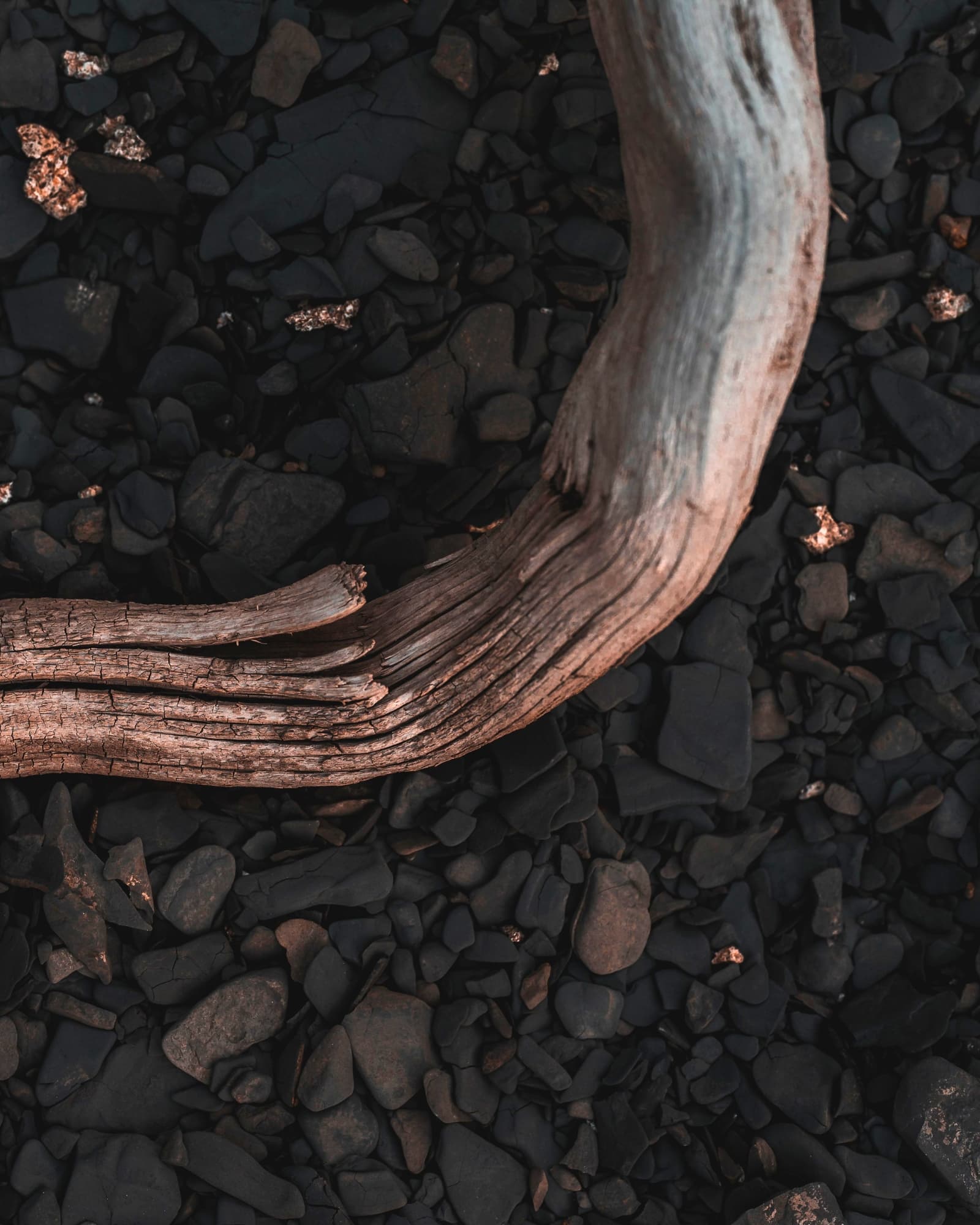 A naturally curved length of wood fitted with hardware and suspended as a place to hold jewelry.
