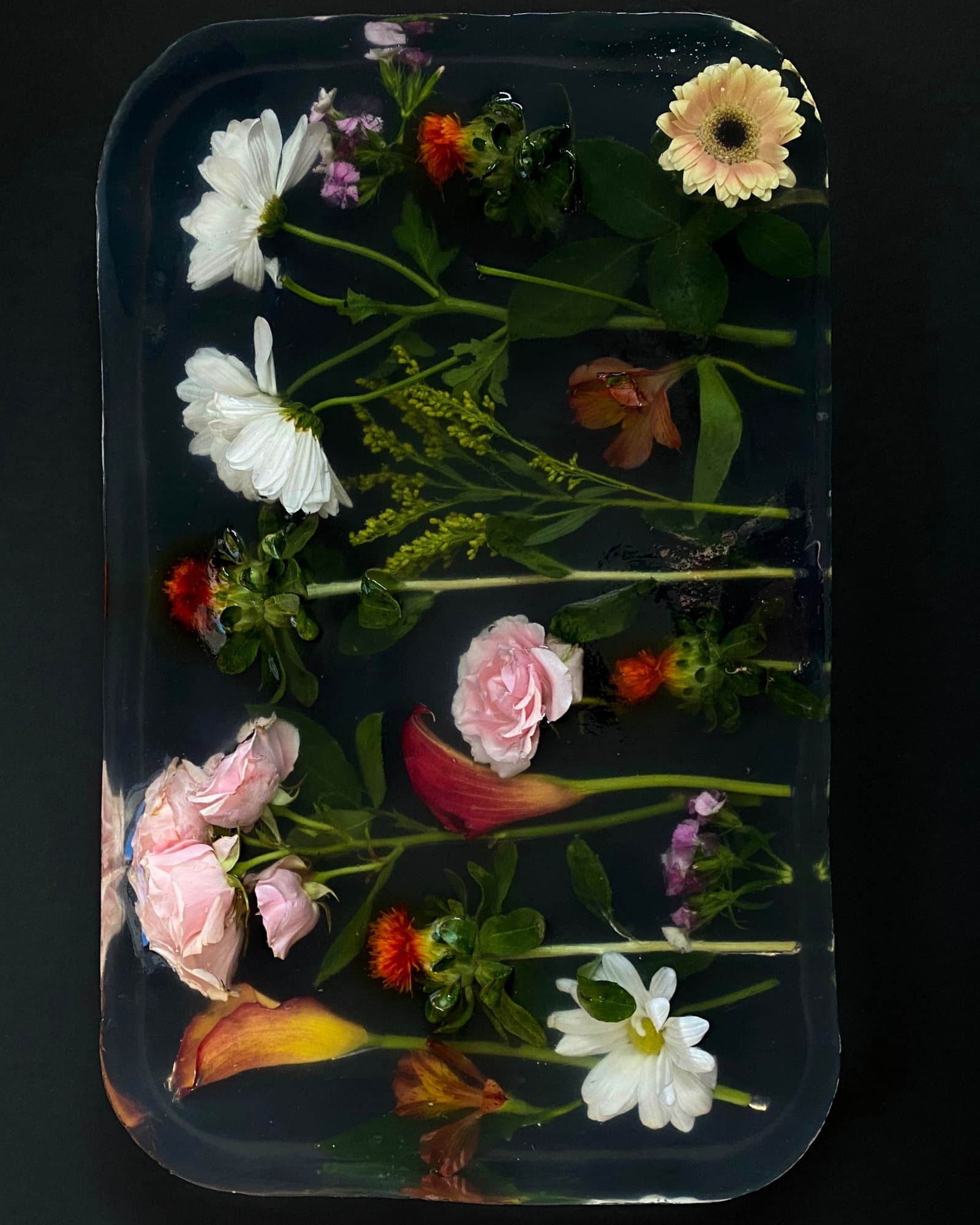A dark resin composition preserving flowers and botanical stems beneath a glossy surface.